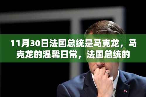 公司概况 第507页