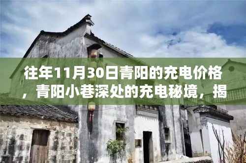 揭秘青阳小巷深处的充电秘境,往年11月30日的充电价格传奇回顾