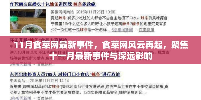 食菜网风云再起,聚焦最新事件及其深远影响