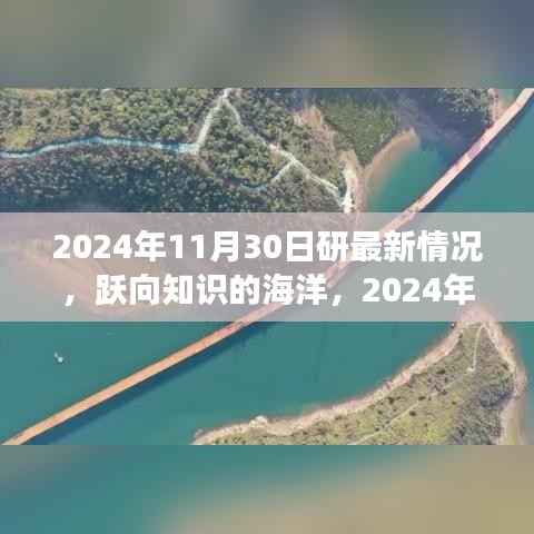 跃向知识的海洋,2024年11月30日全新学习篇章的自信闪耀与拥抱变化