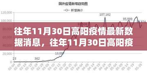 往年11月30日高阳疫情最新数据消息全解析，获取指南与初学者进阶教程