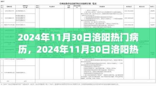 聚焦观点之争,洛阳热门病历深度解析与探讨(2024年11月30日)