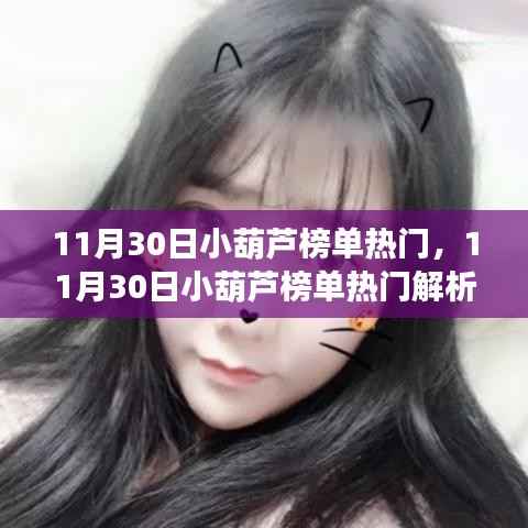 11月30日小葫芦榜单热门解析，洞悉趋势，聚焦热点