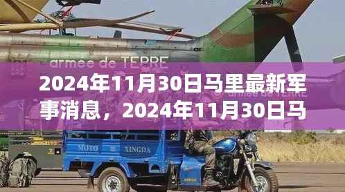 深度解析与案例分析,2024年11月30日马里最新军事消息综述