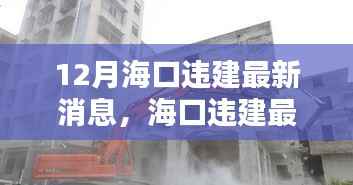 海口违建最新动态深度解析,三大要点与最新消息