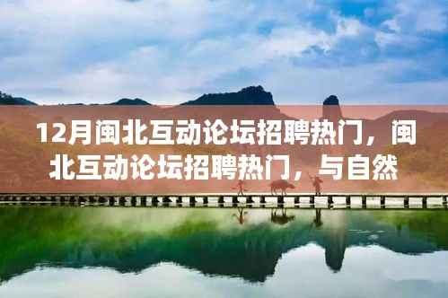 闽北互动论坛招聘热门,与自然美景同行,寻找内心的平和宁静之旅