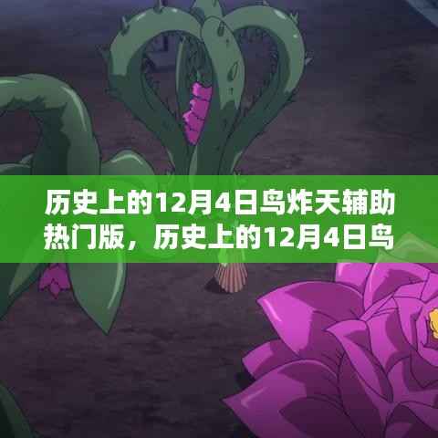 历史上的12月4日鸟炸天辅助热门版,全面评测与详细介绍