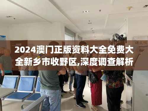 2024澳门正版资料大全免费大全新乡市收野区,深度调查解析说明_特别版95.766