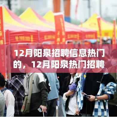 12月阳泉热门招聘信息全面解析与评测