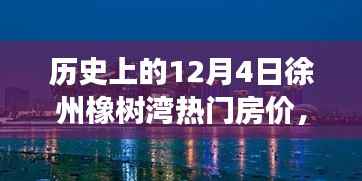 揭秘徐州橡树湾房价变迁,科技重塑居住梦想,历史上的房价与未来生活新纪元展望