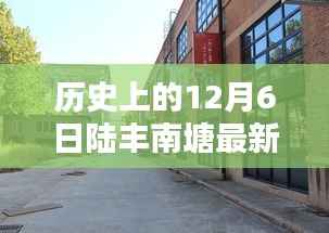 陆丰南塘特色小店揭秘,历史新闻与小巷深处的味觉奇遇记(最新更新)