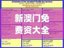 新澳门免费资大全查询,精细化策略解析_LT4.885