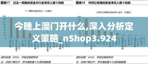 今晚上澳门开什么,深入分析定义策略_nShop3.924