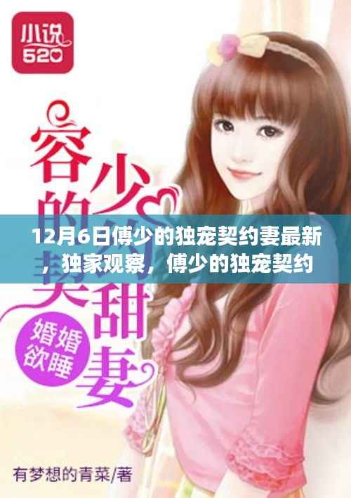 傅少的独宠契约妻最新动态深度解析,独家观察与最新更新