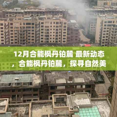 合能枫丹铂麓十二月最新动态,探寻自然美景的心灵之旅