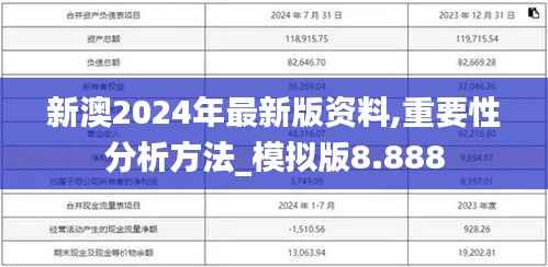 新澳2024年最新版资料,重要性分析方法_模拟版8.888