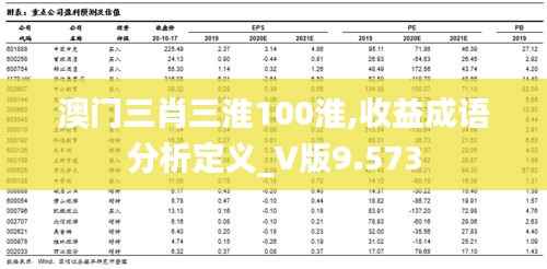 澳门三肖三淮100淮,收益成语分析定义_V版9.573