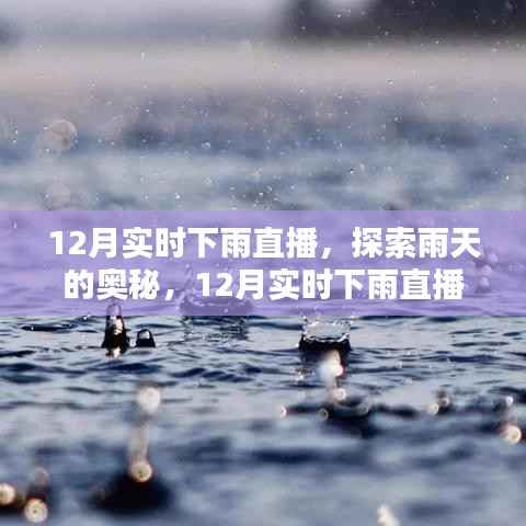 探索雨天奥秘,12月实时下雨直播