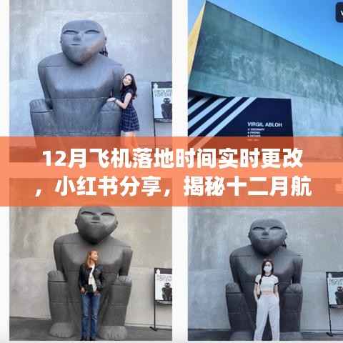 小红书揭秘,十二月航班落地时间实时更改攻略与飞行体验分享