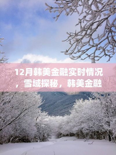 韩美金融实时动态与雪域探秘之旅,心灵归途与冬日美景的交融