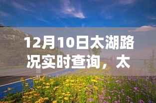 太湖路况实时掌握,励志之路,学习变化,自信成就之路