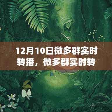 微多群实时转播，视听盛宴的魅力和影响力