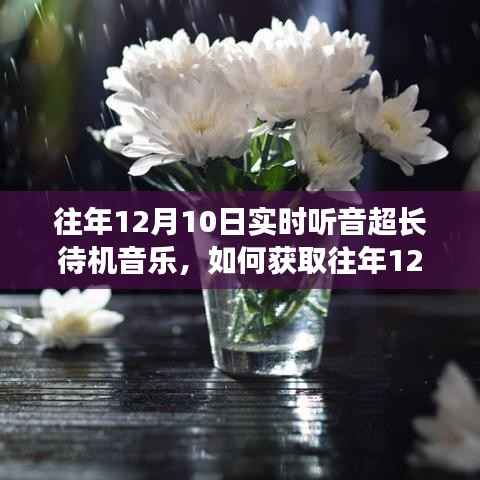往年12月10日实时听音超长待机音乐的获取与体验,详细步骤指南