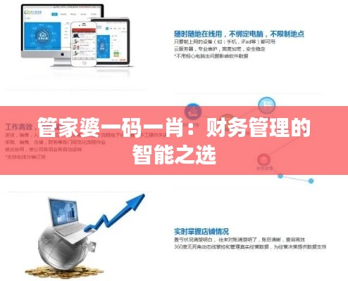管家婆一码一肖:财务管理的智能之选