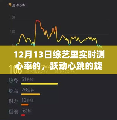 实时心率下的跃动之旅,综艺中的励志旋律与心跳力量
