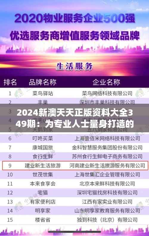 2024新澳天天正版资料大全349期：为专业人士量身打造的资源宝库
