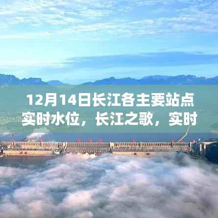长江实时水位背后的励志故事,长江之歌在行动,站点水位监测报告(12月14日)