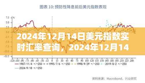 2024年12月14日美元指数实时汇率查询指南，轻松获取汇率信息