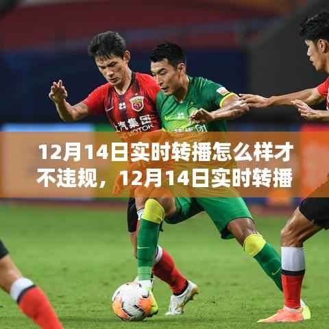 12月14日实时转播合规指南,如何避免违规进行在线直播