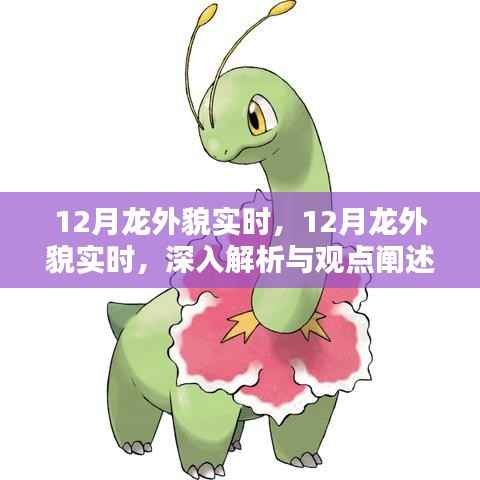 深入解析与观点阐述,12月龙的外貌实时观察