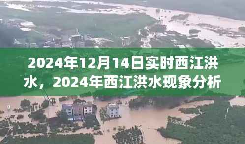 西江洪水现象分析,多方观点碰撞与个人立场下的洪水观察与思考