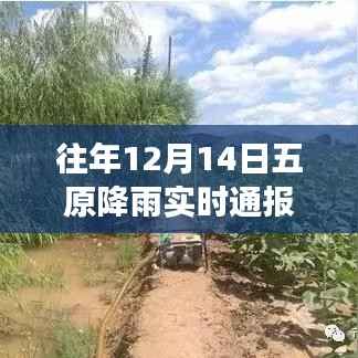 风雨洗礼下的五原成长历程,历年十二月十四日降雨背后的励志故事