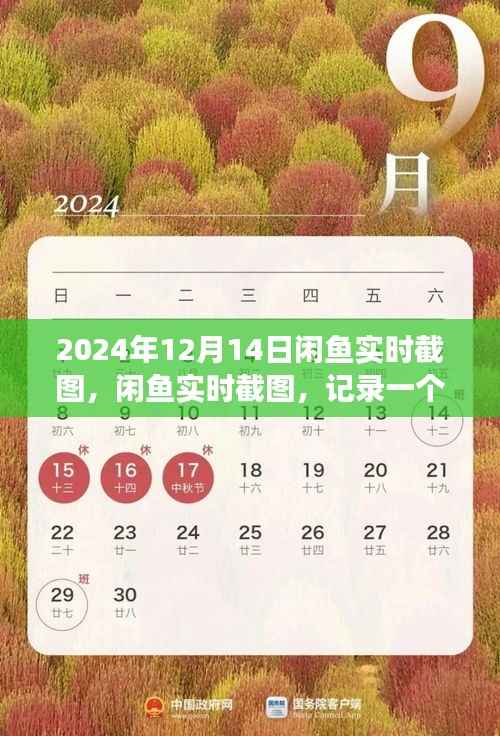 闲鱼时光印记,记录时代繁华与变迁的实时截图