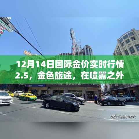 探寻黄金时光,国际金价行情与内心的金色旅途(12月14日实时更新)
