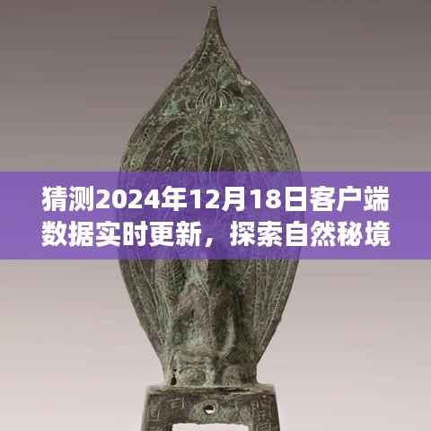 探索自然秘境,寻找内心的宁静与平和——2024年数据更新之旅的启示