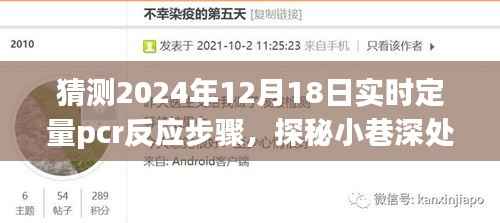 预见未来实验室之旅,探秘PCR反应步骤与小巷深处的神秘小店揭秘