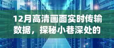 探秘小巷深处的隐藏宝藏,高清数据传输领域的实时传输秘密