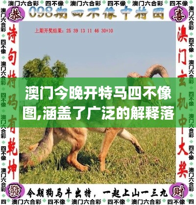 澳门今晚开特马四不像图,涵盖了广泛的解释落实方法_XT2.106