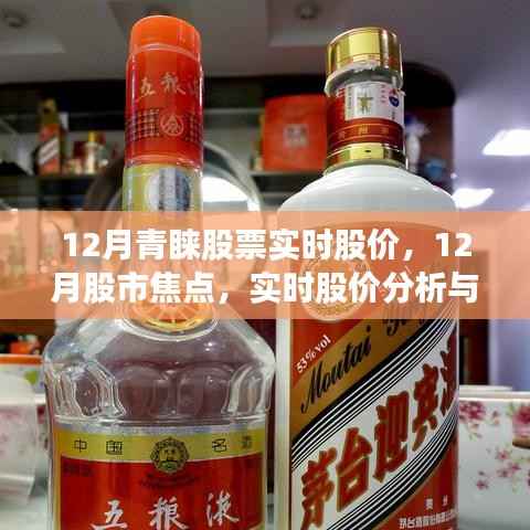 12月股市热点与实时股价分析,关注焦点股票,洞悉股市动态