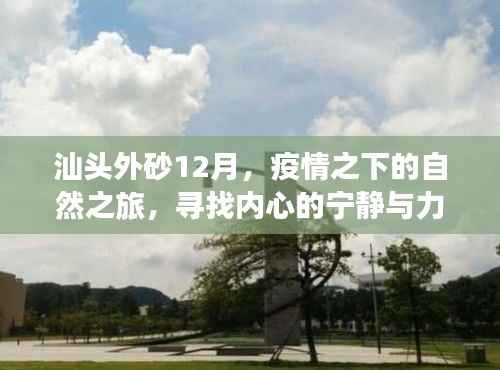 汕头外砂12月,疫情之下的自然探索与内心力量的寻找
