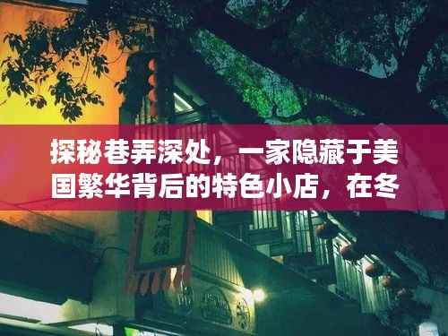 探秘美国繁华背后的巷弄特色小店,冬日数据播报与独特风味揭秘
