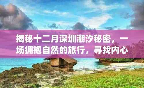 揭秘深圳十二月潮汐之谜,拥抱自然的旅行,寻觅内心宁静港湾