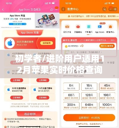 苹果实时价格查询指南,适合初学者与进阶用户的12月查询步骤