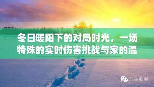 冬日暖阳下的对局时光,实时伤害挑战与家的温馨故事