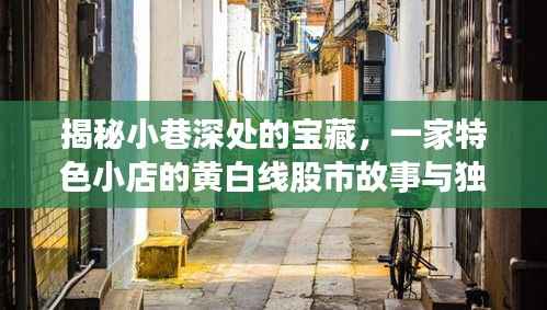 小巷深处的宝藏,特色小店的黄白线股市传奇与环境体验之旅
