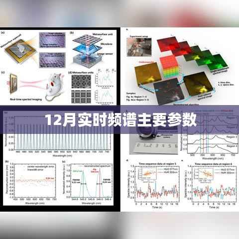 实时频谱分析参数详解,掌握频谱动态变化的关键指标